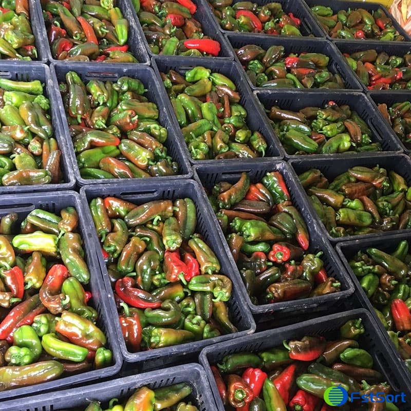 images/1661322002998Bell pepper grader.jpg